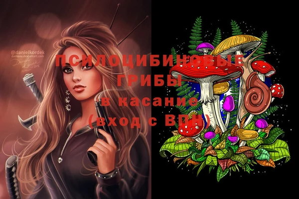 дмт Армянск