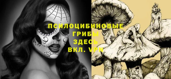 бошки Аркадак