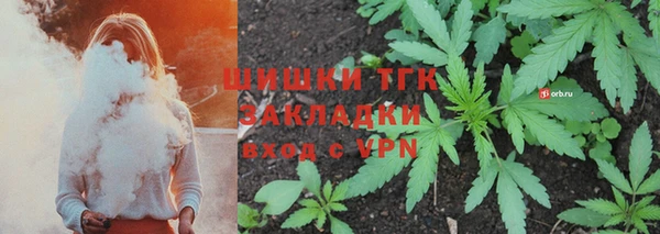 бошки Аркадак