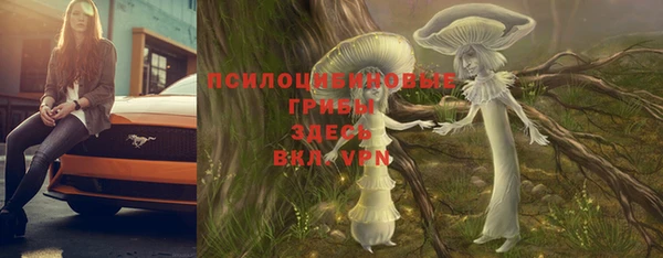 бошки Аркадак